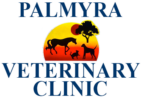 Palmyra Veterinary Clinic